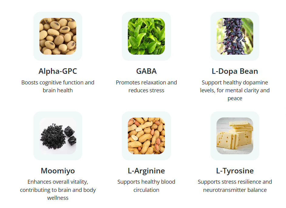 Neuroquiet Ingredients